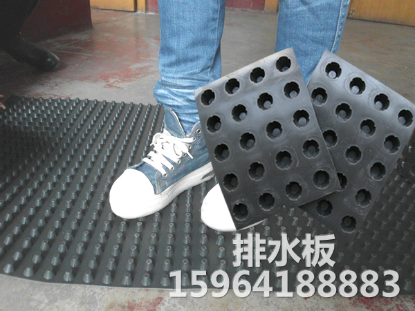 排水板厂家