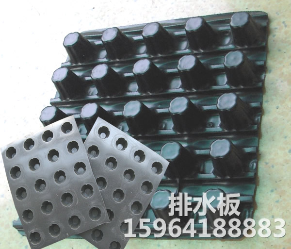 排水板厂家