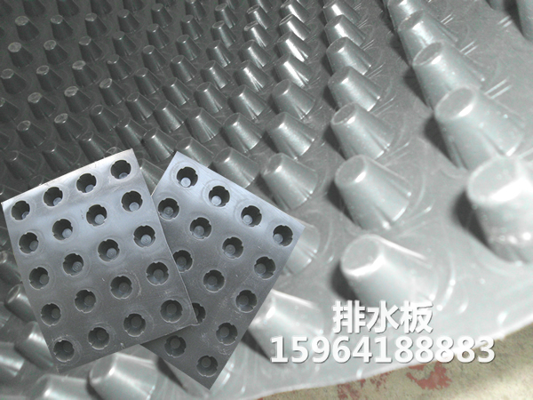 排水板价格